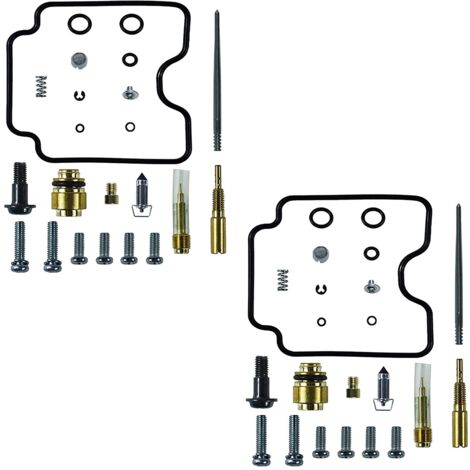 2 Bobines D'Allumage Avec Bouchon Pour Yamaha V Star 1100 Classic (2000