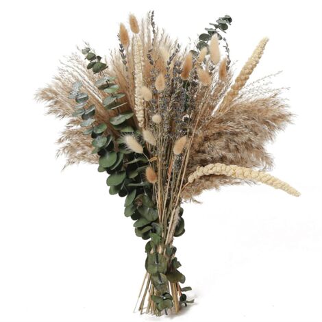 60Pcs Dried Flower Pampas Decorative Reed Grass DIY Flower Arrangement ...