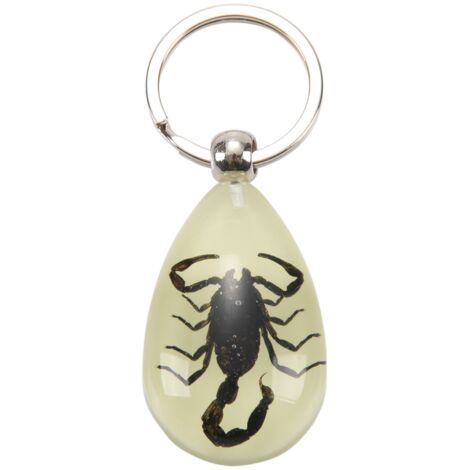 Glow-In-The-Dark Real Insect Keychain (Black Scorpion)
