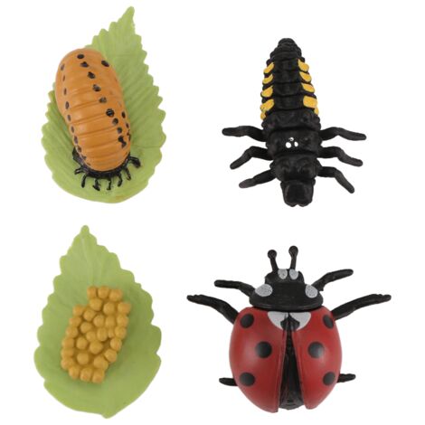 Life Cycle Figurines of Butterfly Spider Bee Ladybug Dragonfly, Plastic ...