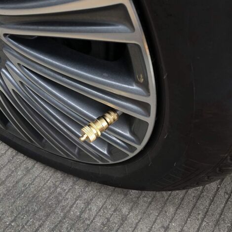 8Pcs Offroad Brass Tire Venting Machine S Kit Automatic 6-30Psi Tyre Tire Pressure Relief Valve Deflators Bleeder Valve