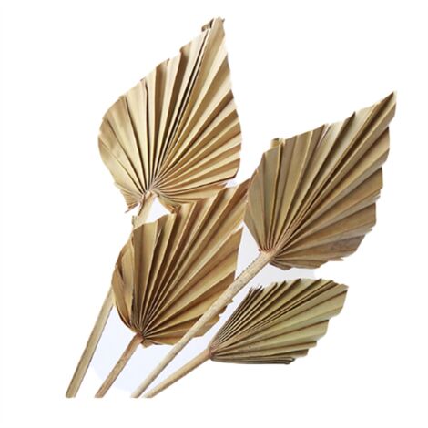 Natural Big Dried Palm Leaves-8 Pcs Spears for Style Art Wall Hanging
