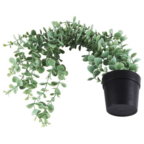 Mr. Bom Künstliche Eukalyptus Hängepflanze – 50 Cm Hoch, Mit Topf, Für Innen- Und Außendekoration
