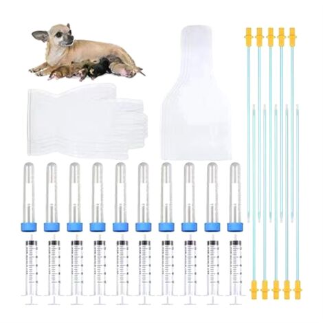 künstliche vitamine herstellung VITAMIN POWER Hundesnacks – Vitamine & Immunsystem