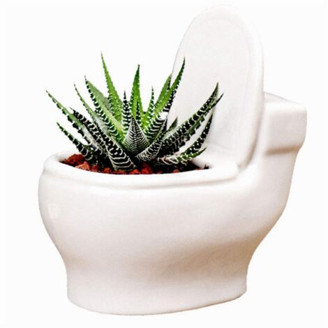 Toiletten-Blumentopf/Bonsai-Topf/Blumentopf/Sukkulenten-Bertopf Aus WeiEr  Keramik, Perfekte Geschenke fr Frauen, MTter oder Geburtstage