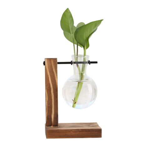 Glas-Terrarium Mit Korkdeckel – Rundes Miniatur-Ökosystem Für Zimmerpflanzen, Feuchtigkeitsspeicherung, Deko Für Home Office & Wohnzimmer, 13x8,5 Cm Glas-Terrarium Mit Korkdeckel – Rundes Miniatur-Ökosystem Für Zimmerpflanzen, Feuchtigkeitsspeicherung, Deko Für Home Office & Wohnzimmer, 13x8,5 Cm