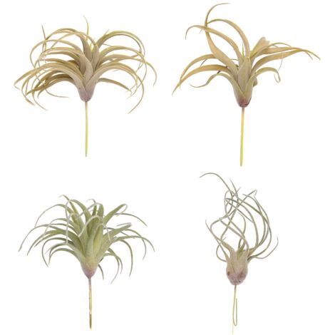 4er-Pack knstliche Ananasgras-Luftpflanzen, geflschte Blumen, beflockte  Tillandsien, Bromelien, Heim- und Gartendekoration
