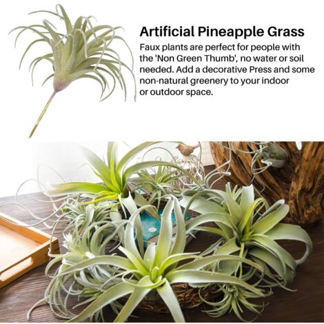 4er-Pack knstliche Ananasgras-Luftpflanzen, geflschte Blumen, beflockte  Tillandsien, Bromelien, Heim- und Gartendekoration