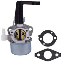 Vergaser-Kit Mit Dichtung – Passend Für Briggs & Stratton 5-6 PS Motoren (696065, 697422, 110402 Usw.)