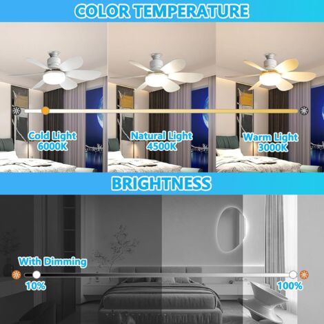 ODIPIE Ventilatore da soffitto, Ventilatore da soffitto silenzioso, Lampada da soffitto 40W con attacco E27, 6 pale, 3 velocità, Silenzioso, per soggiorno, camera da letto, cameretta (52 cm)
