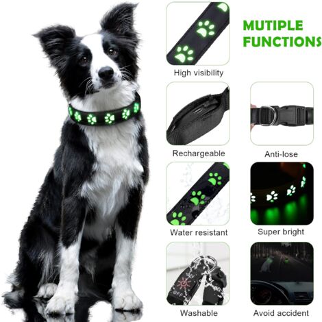 Leuchtendes Halsband fr Hunde, wiederaufladbares und wasserdichtes  Hundehalsband, leicht, verstellbares Halsband fr kleine/mittelgroe/groe  Hunde (grn, S)