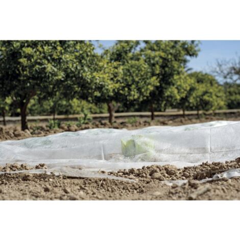 Voile de croissance CLIMATEX 2 x 5 m Nortene