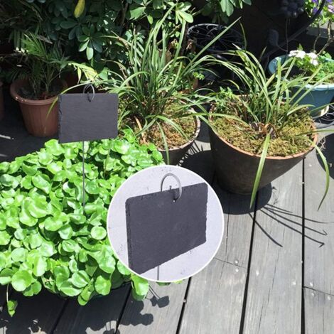 30 Crochets D'Étiquette De Plante En Acier Inoxydable 20 Cm - Marqueurs De Jardin Pour Fleurs Et Bonsaï