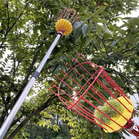 Cueille-Fruits Télescopique En Acier Inoxydable - Longueur Réglable Jusqu'à 160 Cm - Pour Jardin