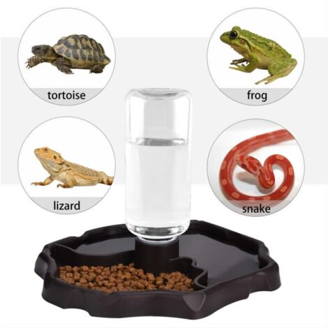 Distributeur Automatique Nourriture Et Eau Pour Animaux - Grande Capacité, Anti-débordement, Bleu
