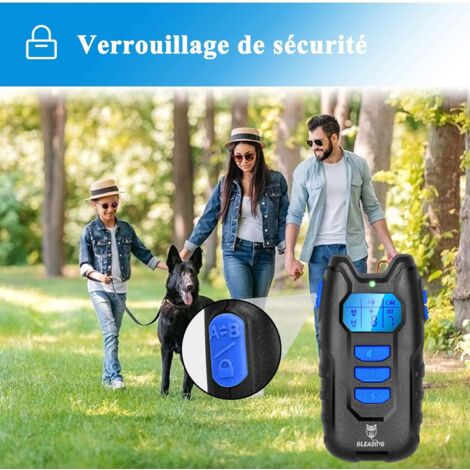 Collier de dressage de chien Rechargeable monobloc collier électrique ...