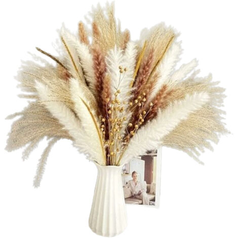 Lot 90 Fleurs Séchées Naturelles - Bouquet Pampa Boho 5 Variétés Pour Décoration Maison Et Mariage