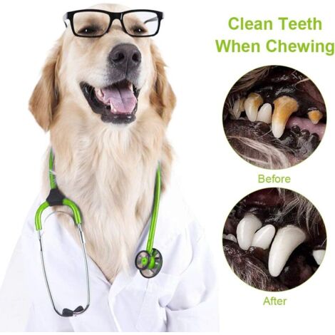 Jouet à Mâcher Couineur Pour Chiot - Latex Durable - Idéal Pour Dentition Et Jeu Intérieur/extérieur - Noir Ou Rouge