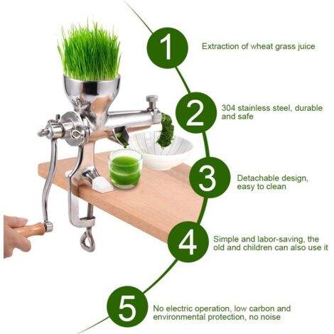 Fior di Farina di semola rimacinata di grano duro biologico - Food in Sicily, se