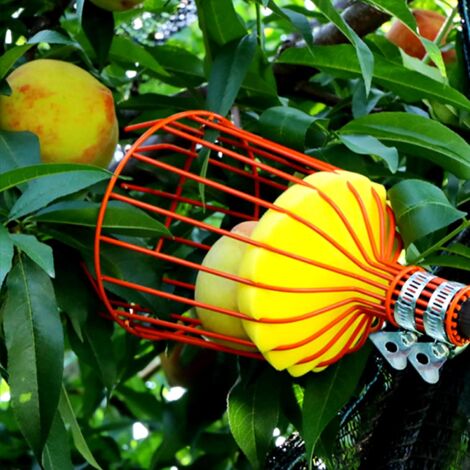 Cabezal Recolector De Frutas De Aleación De Aluminio - Para Aceitunas, Naranjas Y Peras - 9 Dientes, 26 Mm De Apertura