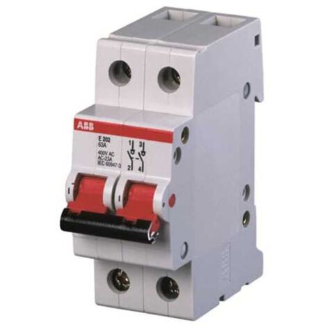 Interrupteur Sectionneur E202/32g 2P 32A (M645836)