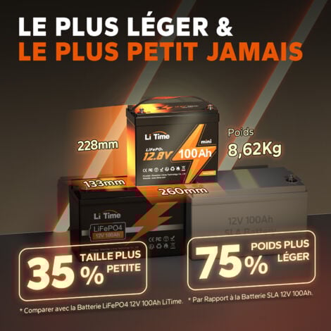 LiTime Batterie lithium LiFePO4 12V 100Ah mini ,BMS 100A amélioré, Durée de Vie de 10 Ans, jusqu'à 15 000 Cycles, Batterie LiFePO4 jusqu'à 1280Wh d'énergie Batterie -Paquet de 1 Pièce