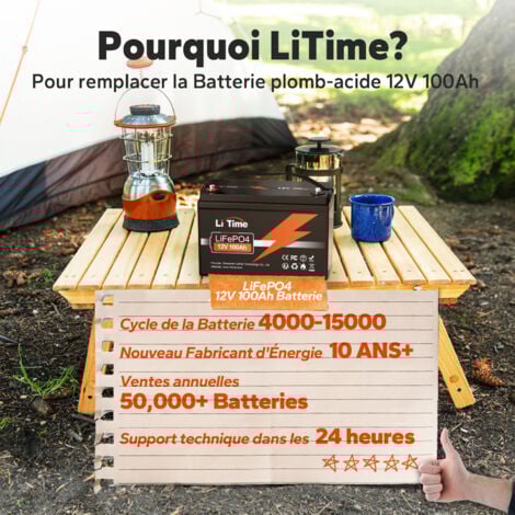 LiTime Batterie Lithium LiFePO4 12V 100Ah 100A BMS 1280Wh Stockage avec Panneau solaire, Parfaite pour Camping-Car, Bateau Batterie - 1Pcs