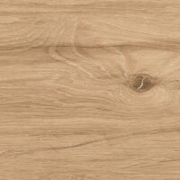 Carrelage Imitation Parquet Brice Marron clair R11 20x120 cm