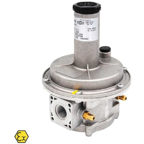 Regolatore doppia membrana a chiusura con filtro mod. FRG/2MC - attacchi 1"1/2 FF 00000040044