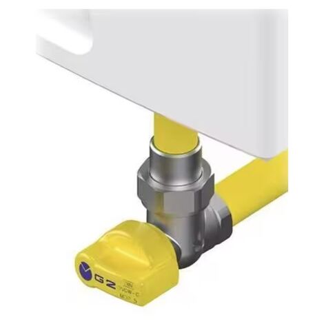 Valvola filettata per contatore gas bitubo DN25 1"- valvola 90° frontale versione FF G243110200