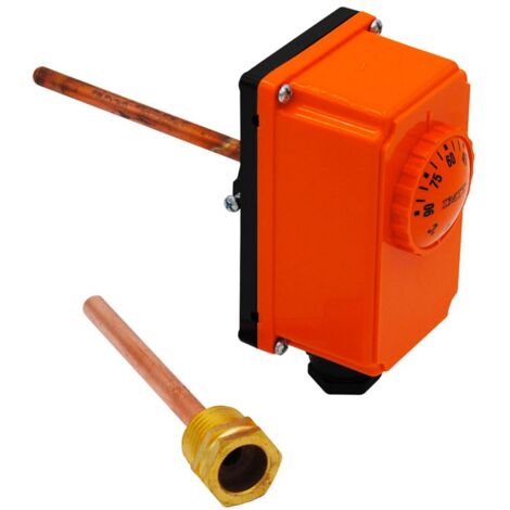 Termostato ad Immersione Inscatolato ad espansione di liquido - L. 100 mm 00000R03092