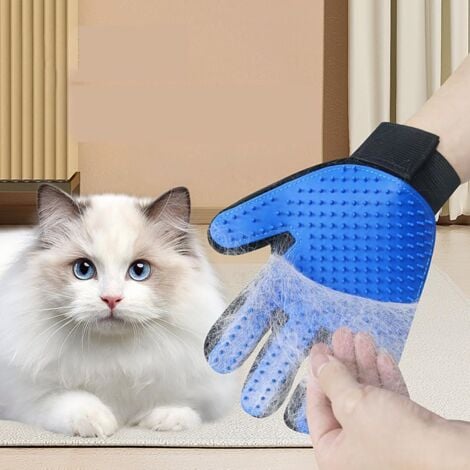 Gloves for cat discount