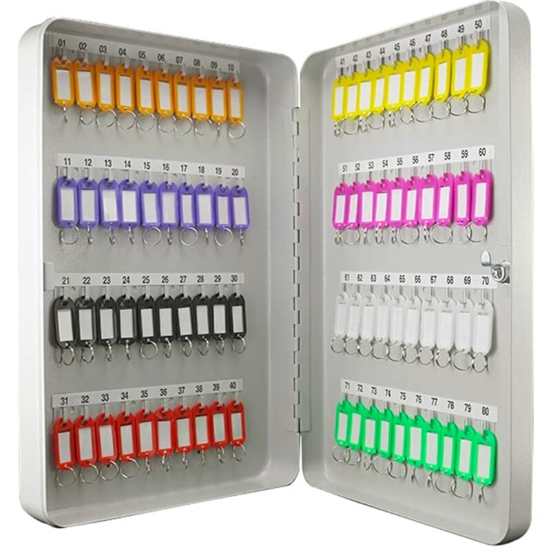 Armoire à clés à serrure fixation murale rangement 80 crochets