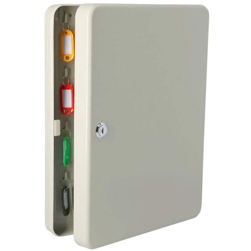 Armoire à clés à serrure fixation murale rangement 80 crochets 2