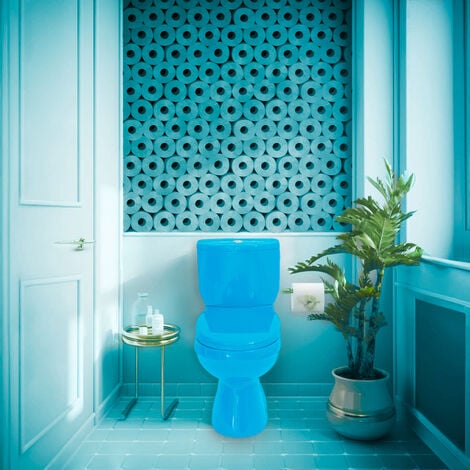 Toilette a poser de couleur BLEU Cuvette WC bi bloc en ceramique