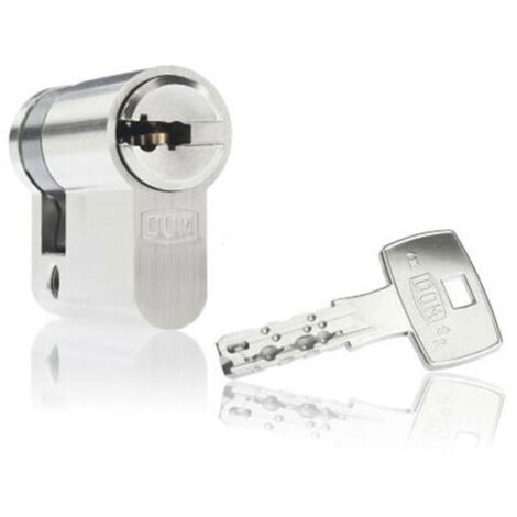 Cylindre de porte haute sécurité IX6 SR nickelé et clé a billes Dimension - 30x10