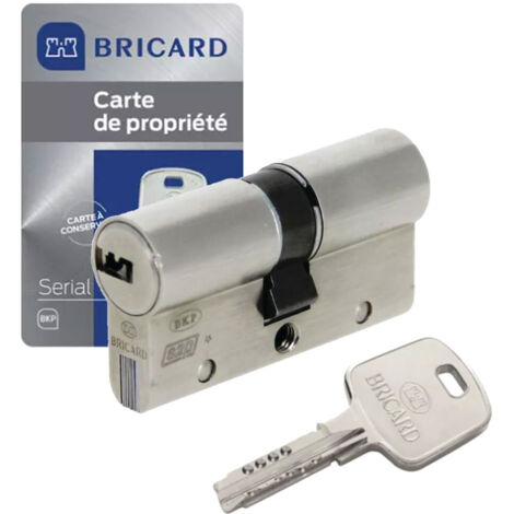 Vachette VIP A2P1* Cylinder With Disengageable Function - View #11