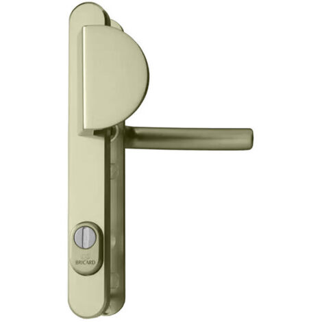 Bricard – Poignée blindée de porte aluminium 250 mm – Entraxe 92 mm – Finition anodisée champagne – Système Flex Light pour installation sécurisée (1/5)