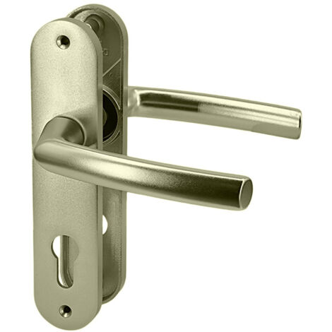 Paire de poignées de porte intérieur sur plaques aluminium blindé 190 mm cylindre Bricard Osmose (1/5)