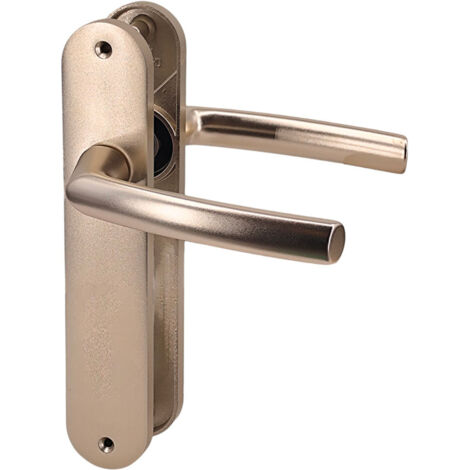 Paire de poignées plaques aluminium champagne 234 mm Bricard pour porte intérieur sans clés