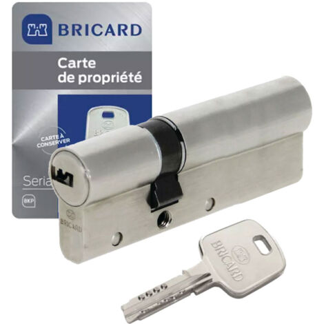 Cylindre porte double entrée 35 x 55 mm serrure à barillet 4 clés Serial W10 BRICARD (1/5)