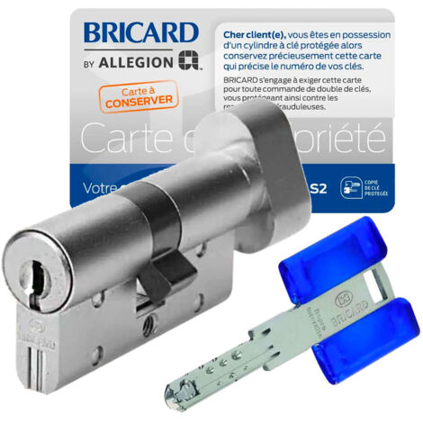 Bricard – Cylindre de serrure 30x30 mm à bouton renforcé – 15 goupilles sur 5 axes – Protection contre crochetage et perçage – 3 clés réversibles (1/5)