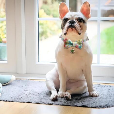 CCYKXA (Green)Puppy Collar Pet Collar Dog Collar Cat Collar Adjustable Puppy Collar Cute and Comfortable Puppy Collar with Beautiful Bow Small Bell