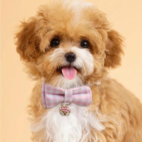 CCYKXA (Pink)Puppy Collar Pet Collar Dog Collar Cat Collar Adjustable Puppy Collar Cute and Comfortable Puppy Collar with Beautiful Bow Small Bell