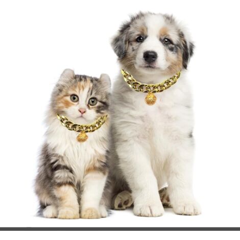 CCYKXA 2Pcs Gold Chain for Cats, Gold Dog Collar, Dog Chain Collar, with Bell, for Photography, Decoration