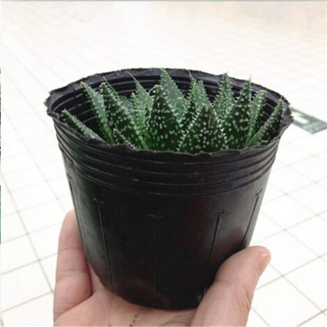 Ahlsen 100pcs Plastic Nursery Pots, Degradable Starter Pot, Garden Flower Nutrition Pot, Gardening Tool for Succulents, Cuttings, Seedlings, Five Sizes