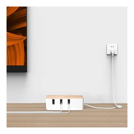 Ahlsen Cable storage box 30.5 x 12.5 x 11.5 cm, wooden lid, cable organizer for desk, TV, computer, USB hub system for hiding power strips