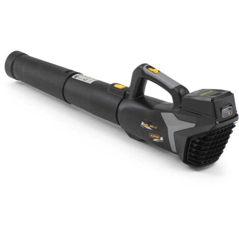 Alpina ABL 20 Li Kit Souffleur À Batterie, 20 V (4 Ah), 280 W – Batterie Et Chargeur Inclus, Tube Amovible – Pour Jardin (1/5)