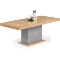 Ausziehbarer Esstisch Rechteck EDEN 6-10 Personen Holz und Betoneffekt 160-200 cm