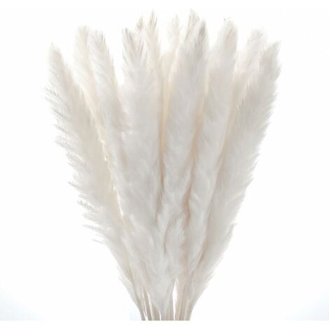 6 pezzi Pampas Decorative Alte 113cm Marrone Pampa Artificiali Fiori